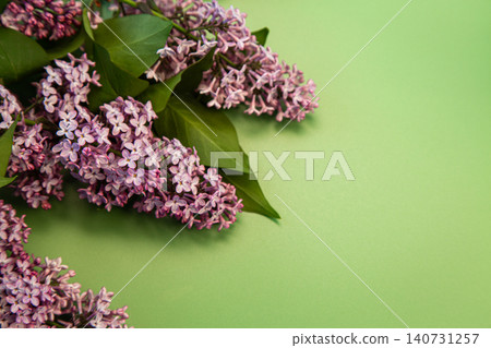 pastel green background and lilac flowers pastel green background and lilac flowers 140731257
