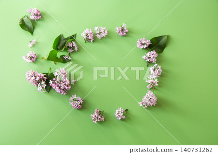 Spring lilac flowers with leaves on green backdrop Spring lilac flowers with leaves on green backdrop 140731262