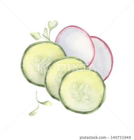 Cucumber and radish slices, microgreens. Hand-painted watercolor illustration isolated on a white for healthy food advertising, menu design, packaging, posters, cookbooks, organic branding Cucumber and radish slices, microgreens. Hand-painted watercolor illustration isolated on a white for healthy food advertising, menu design, packaging, posters, cookbooks, organic branding 140731949