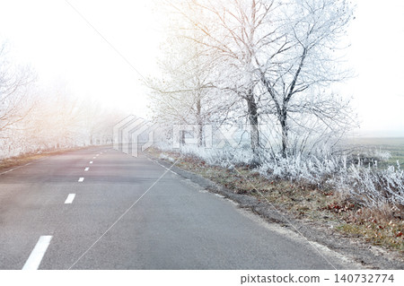 Empty road between trees covered with hoarfrost at rural site in early winter morning Empty road between trees covered with hoarfrost at rural site in early winter morning 140732774