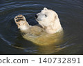 Polar bear swimming in the water 140732891