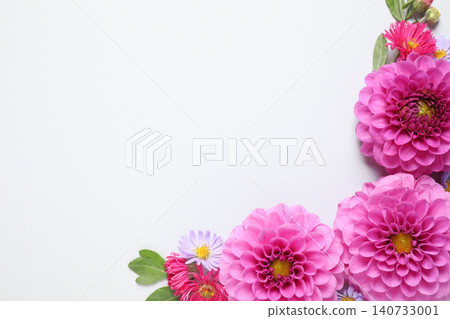 Flat lay composition with beautiful dahlia flowers and space for design on white background Flat lay composition with beautiful dahlia flowers and space for design on white background 140733001