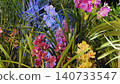Orchid blossoms with palm leaves creating lush tropical background. Natural, fresh, and vibrant composition inspired by jungle nature. 140733547