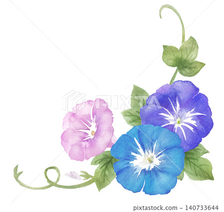 Watercolor morning glory frame material Watercolor morning glory frame material 140733644