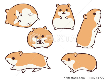 一組簡單可愛的倉鼠插圖 一組簡單可愛的倉鼠插圖 140733727
