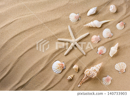 Natural seashore textured surface with seashells. Sea beach sand background with seashells top view. Natural seashore textured surface with seashells. Sea beach sand background with seashells top view. 140733903