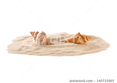 Seashells in a sand pile isolated on white background. Seashells in a pile of sand isolated on white background. Seashells in a sand pile isolated on white background. Seashells in a pile of sand isolated on white background. 140733905