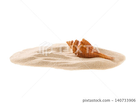 Seashells in a sand pile isolated on white background. Seashells in a pile of sand isolated on white background. Seashells in a sand pile isolated on white background. Seashells in a pile of sand isolated on white background. 140733906