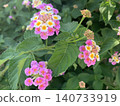 Landscape with lantana flowers 140733919