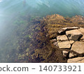 Rocky areas where seaweed thrives 140733921