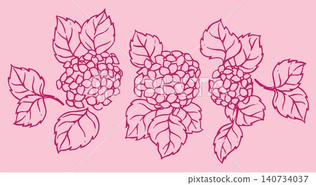 Set of hydrangea flowers. Vintage sketch style illustration. Set of hydrangea flowers. Vintage sketch style illustration. 140734037