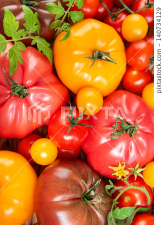 Colorful heirloom tomatoes and cherry tomatoes basket harvest Colorful heirloom tomatoes and cherry tomatoes basket harvest 140734129