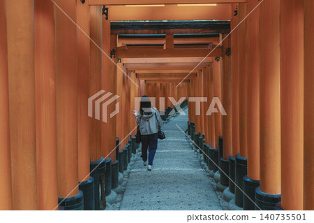 [Fushimi Inari Taisha Shrine] A historical temple and shrine landscape representative of Kyoto / A long line of torii gates. 140735501