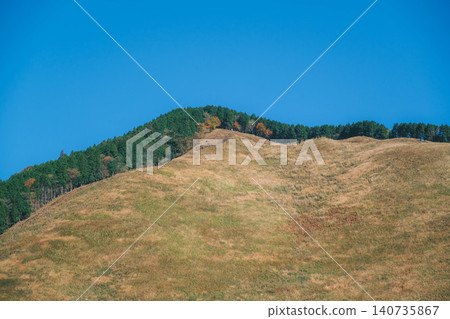 [Soni Plateau] The golden landscape of pampas grass signals the arrival of autumn. 140735867