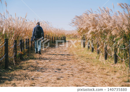 [Soni Plateau] The golden landscape of pampas grass signals the arrival of autumn. 140735880