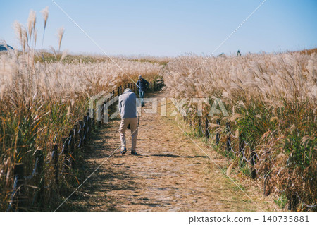 [Soni Plateau] The golden landscape of pampas grass signals the arrival of autumn. 140735881