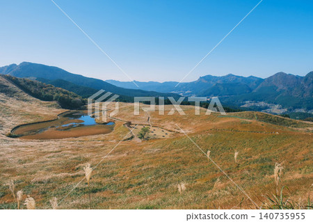 [Soni Plateau] The golden landscape of pampas grass signals the arrival of autumn. 140735955
