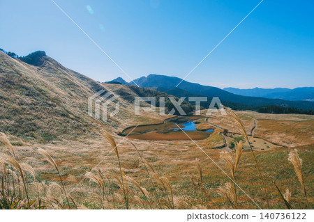 [Soni Plateau] The golden landscape of pampas grass signals the arrival of autumn. 140736122
