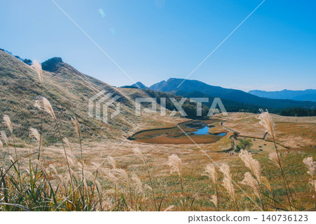 [Soni Plateau] The golden landscape of pampas grass signals the arrival of autumn. 140736123