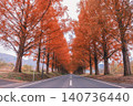 [Metasequoia Avenue] A vibrant landscape tinged with orange / Beautiful autumn scenery 140736440