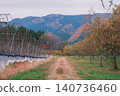 [Metasequoia Avenue] A vibrant landscape tinged with orange / Beautiful autumn scenery 140736460
