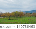 [Metasequoia Avenue] A vibrant landscape tinged with orange / Beautiful autumn scenery 140736463