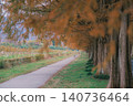 [Metasequoia Avenue] A vibrant landscape tinged with orange / Beautiful autumn scenery 140736464