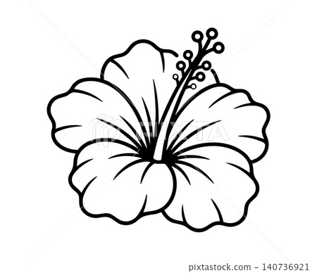 一幅手繪風格的芙蓉花線條畫，營造出熱帶氛圍。 140736921
