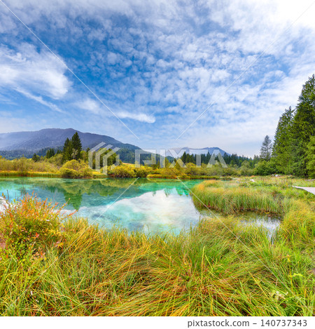 Gorgeous summer view on Zelenci lake with beautiful reflections in water. Gorgeous summer view on Zelenci lake with beautiful reflections in water. 140737343