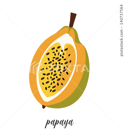 Illustration of papaya. Summer tropical fruit. Illustration of papaya. Summer tropical fruit. 140737564