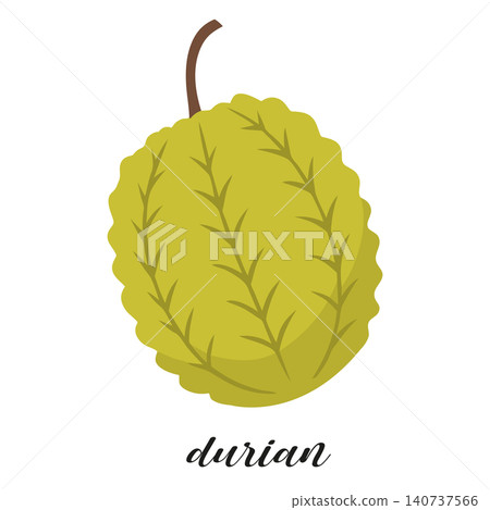 Illustration of durian fruit isolated on white background. Summer tropical fruit. Illustration of durian fruit isolated on white background. Summer tropical fruit. 140737566