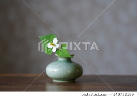 A single Houttuynia cordata flower in a vase A single Houttuynia cordata flower in a vase 140738199