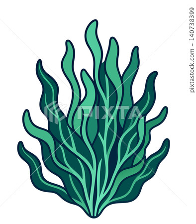 Hand drawn seaweed isolated on white. Cartoon style vector illustration. Hand drawn seaweed isolated on white. Cartoon style vector illustration. 140738399