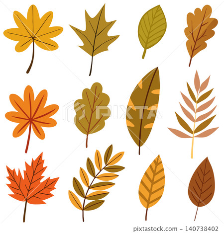 set of hand drawn color leaves set of hand drawn color leaves 140738402
