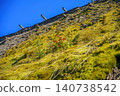 Colorful new life sprouting on an old thatched roof and the texture of moss: coexistence with nature 140738542