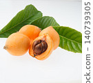 Loquat (studio photography) 140739305