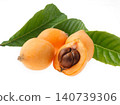 Loquat (studio photography) 140739306