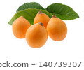 Loquat (studio photography) 140739307