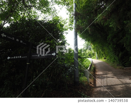 A verdant promenade leading up the mountaintop. A signpost for the hiking trail, surrounded by the rich nature of Mount Ikoma. A verdant promenade leading up the mountaintop. A signpost for the hiking trail, surrounded by the rich nature of Mount Ikoma. 140739538