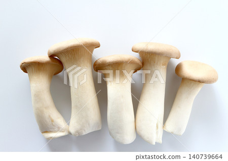 在白色背景上的國王喇叭 在白色背景上的國王喇叭 140739664