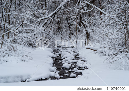 一條溪流穿過白雪皚皚的森林的景象 a-1 一條溪流穿過白雪皚皚的森林的景象 a-1 140740001