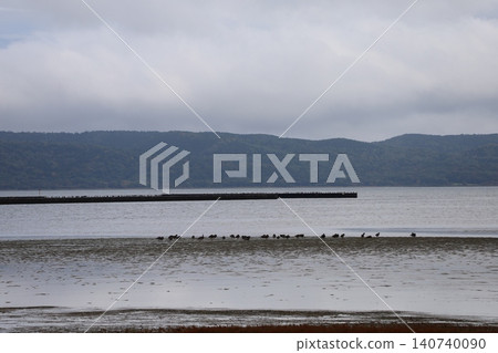 漂浮在尼托里湖上的珊瑚草 漂浮在尼托里湖上的珊瑚草 140740090