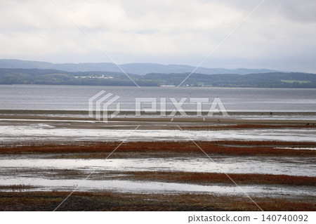 Crimson coral grass spreads across the entire lake. 140740092