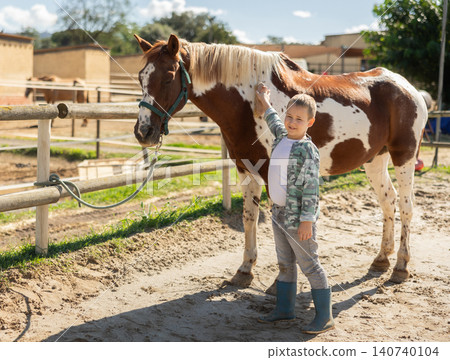 Boy combing horse in horse paddock Boy combing horse in horse paddock 140740104