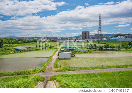 Rural landscape from the left bank levee of the Yodo River, Hirakata City, Osaka Prefecture Rural landscape from the left bank levee of the Yodo River, Hirakata City, Osaka Prefecture 140740127