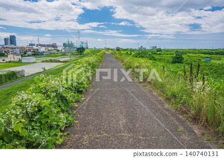 從淀川左岸堤防眺望大阪府枚方市 從淀川左岸堤防眺望大阪府枚方市 140740131