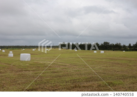 北海道廣闊的平原和牧場風光。 北海道廣闊的平原和牧場風光。 140740558