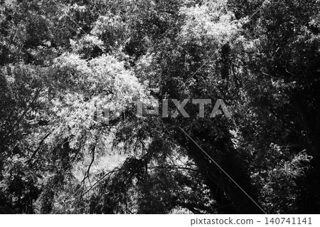 Monochrome Nature Monochrome Nature 140741141