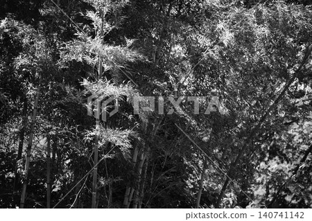 Monochrome Nature 140741142