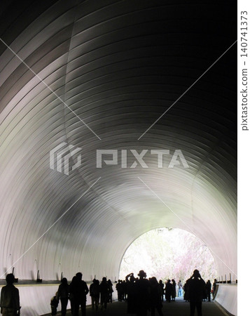 Cherry blossoms reflected in the tunnel at Miho Museum Cherry blossoms reflected in the tunnel at Miho Museum 140741373